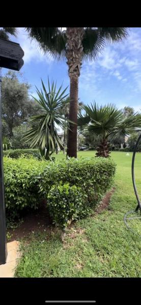 Charming Villa, Breathtaking Garden View